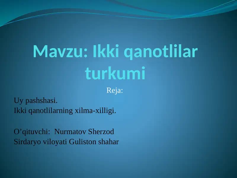 Ikki qanotlilar turkumi