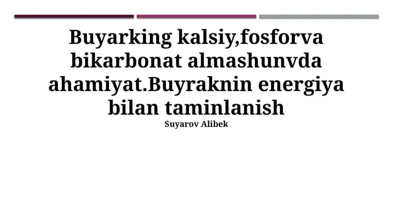 Buyrak Enerji Ta'minoti