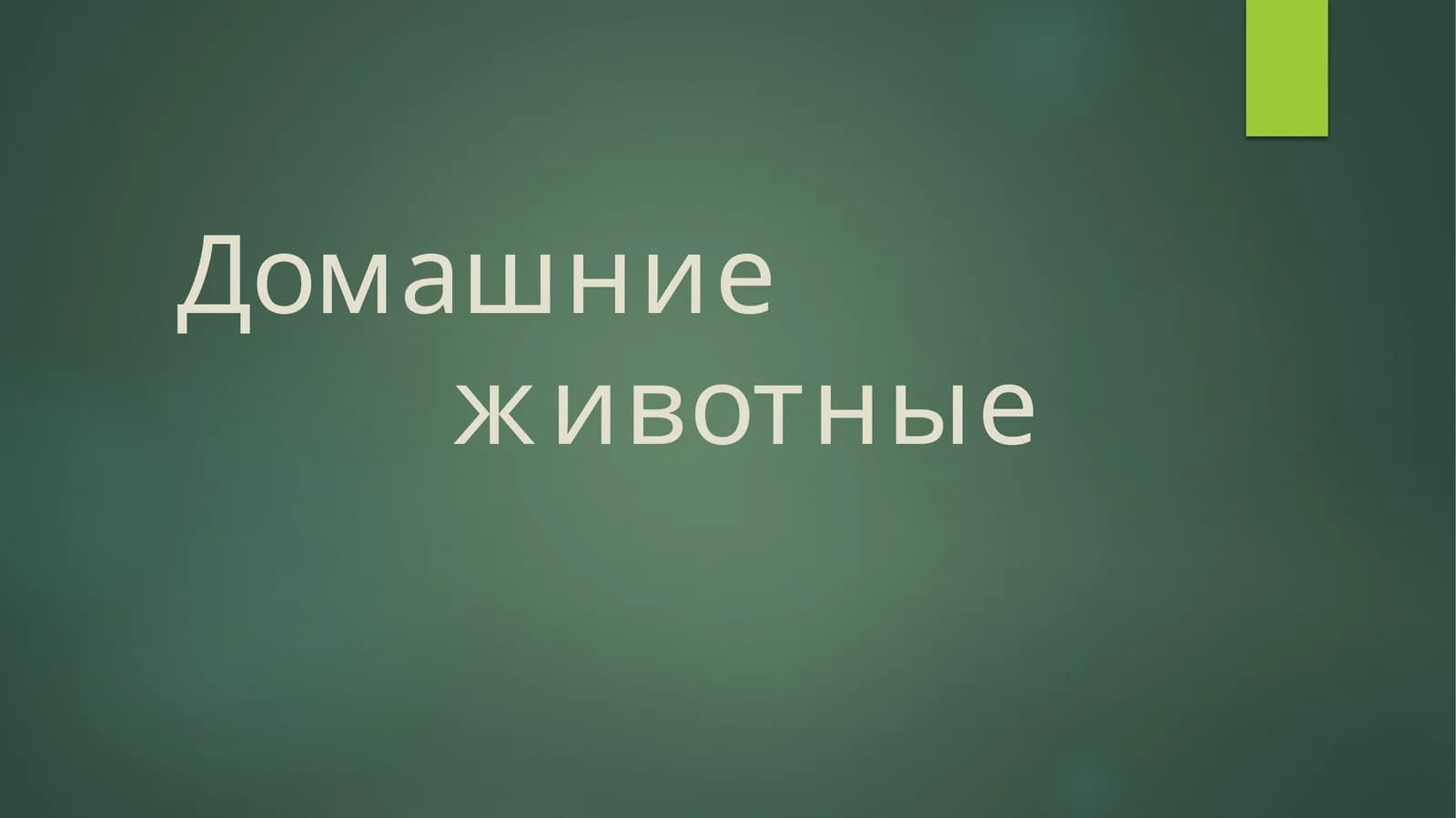 Домашние животные