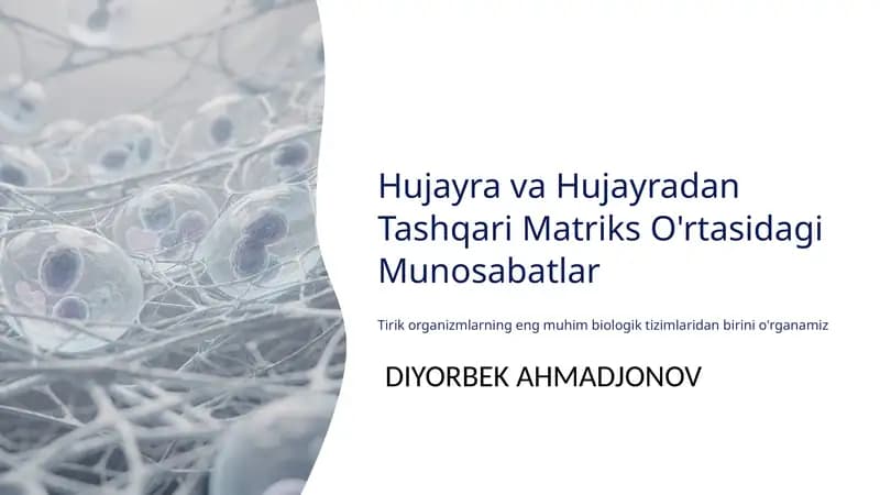 Hujayra va Hujayradan Tashqari Matriks O'rtasidagi Munosabatlar