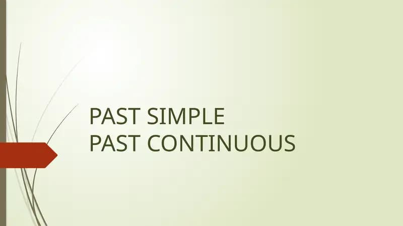 past simple and past continuous
