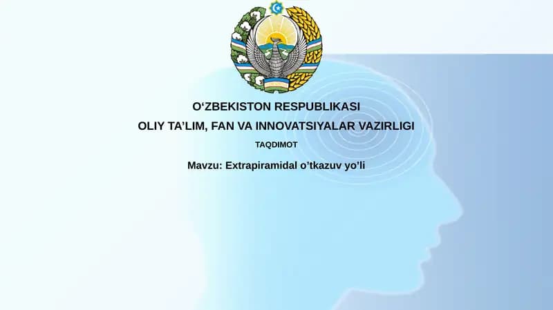Ekstrapiramidal yo'l