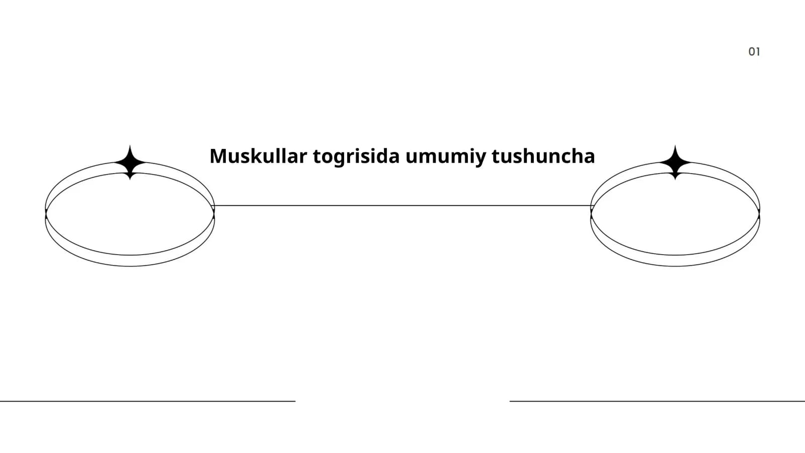 Muskullar togrisida umumiy tushuncha