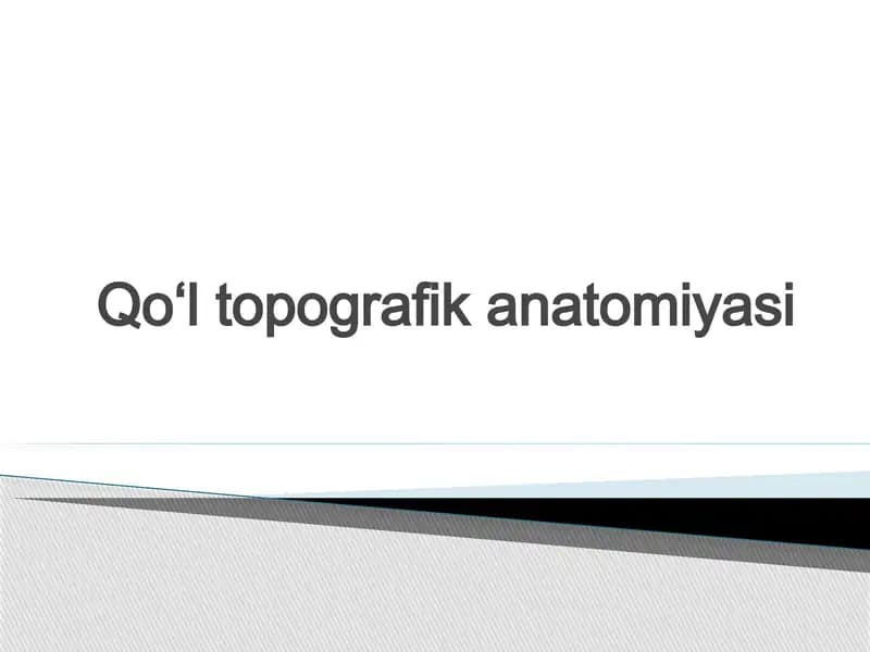 qoʻl topgrafik anatomiyasi