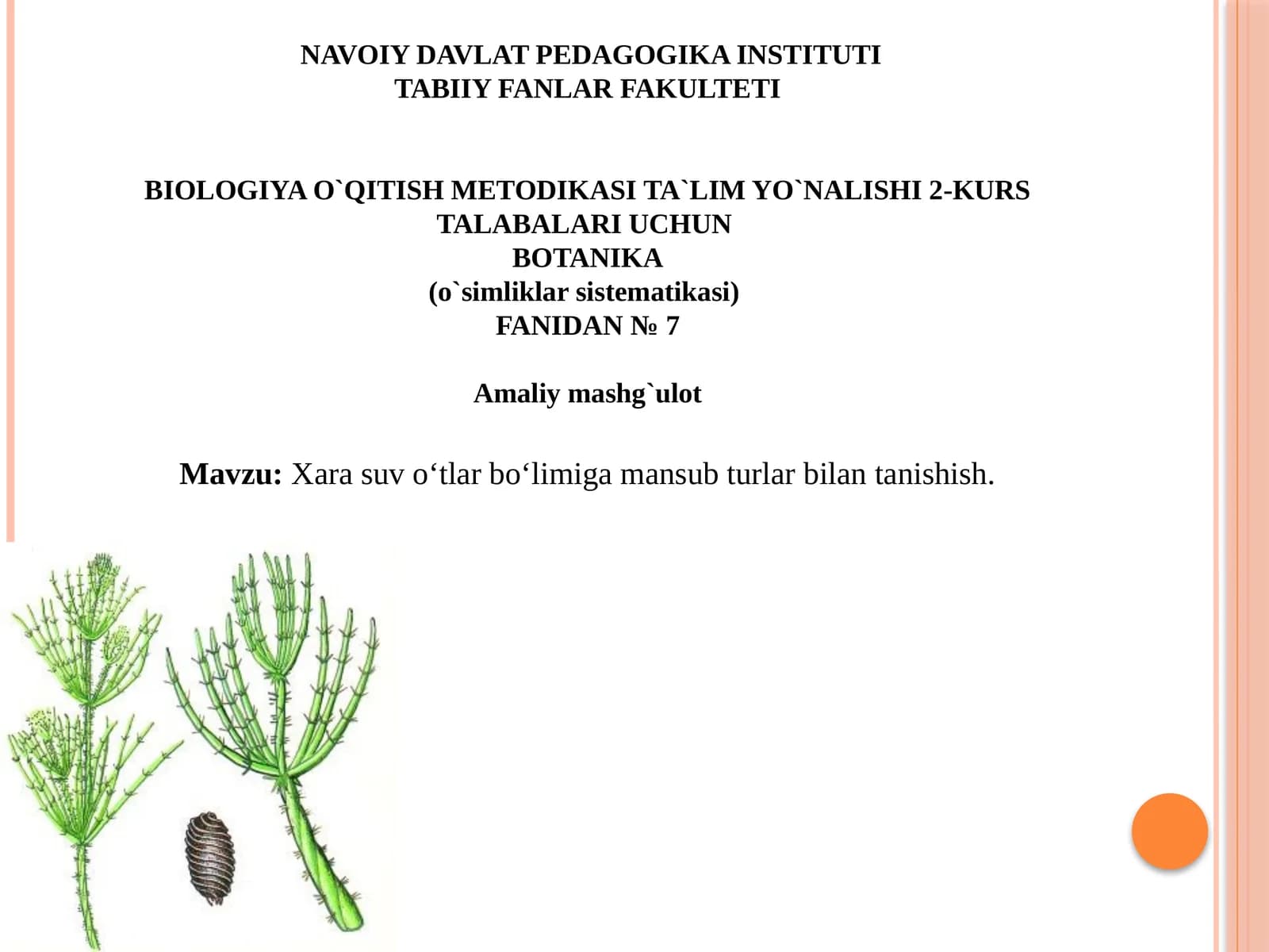 TABIIY FANLAR FAKULTETI