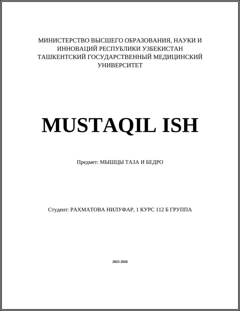 МЫШЦЫ ТАЗА И БЕДРА