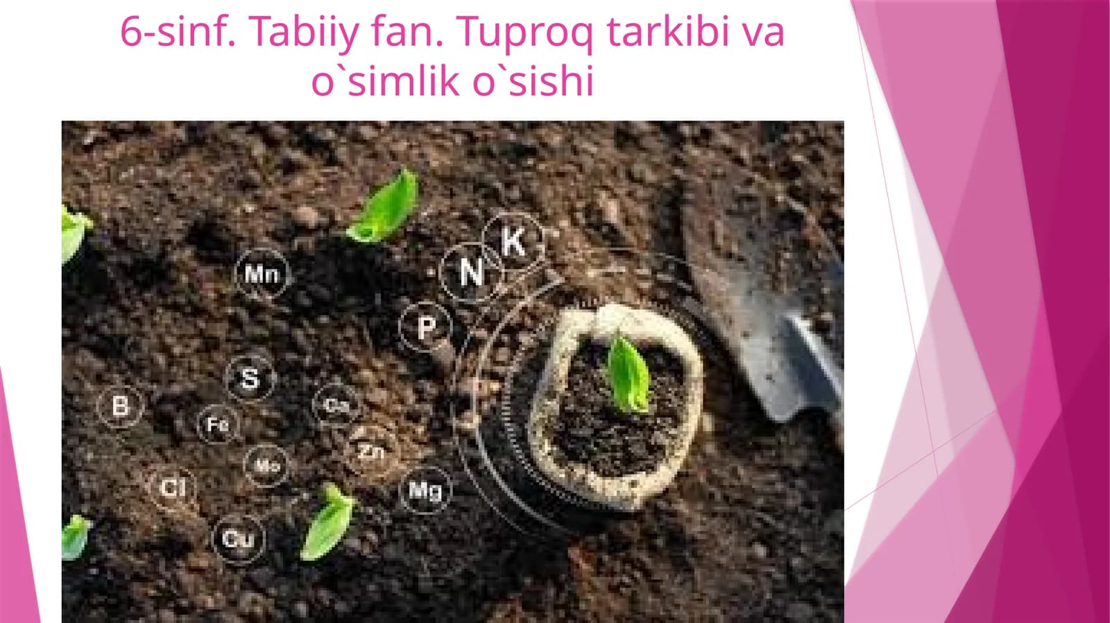 6-sinf.Tabiiyfan.Tuproqtarkibivao`simliko`sishi