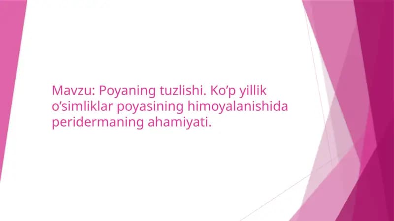 Poyaning tuzlishi. Ko’p yillik o’simliklar poyasining himoyalanishida peridermaning ahamiyati.