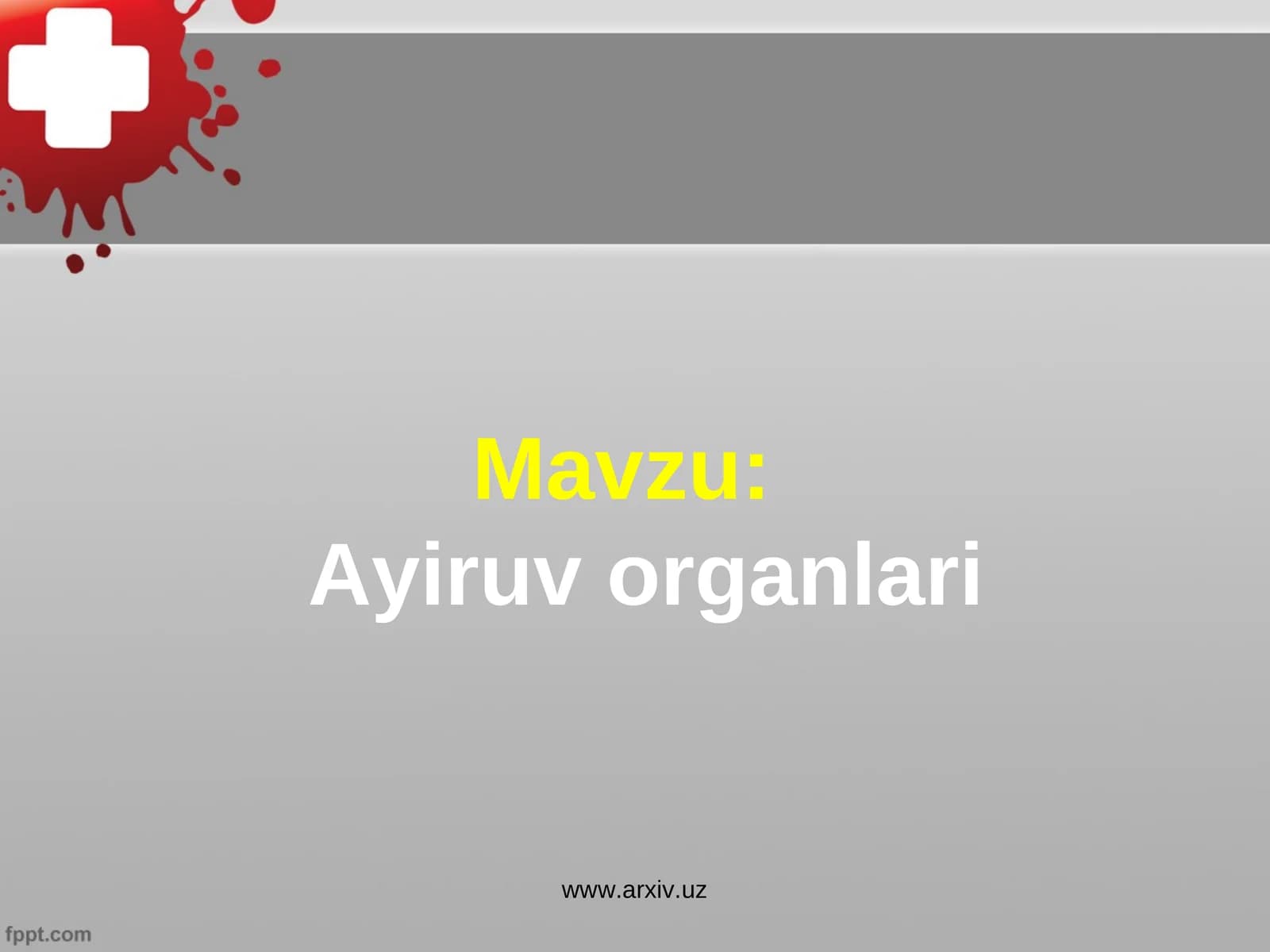Ayiruv organlari