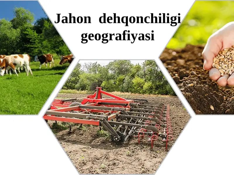Jahon dehqonchiligi geografiyasi