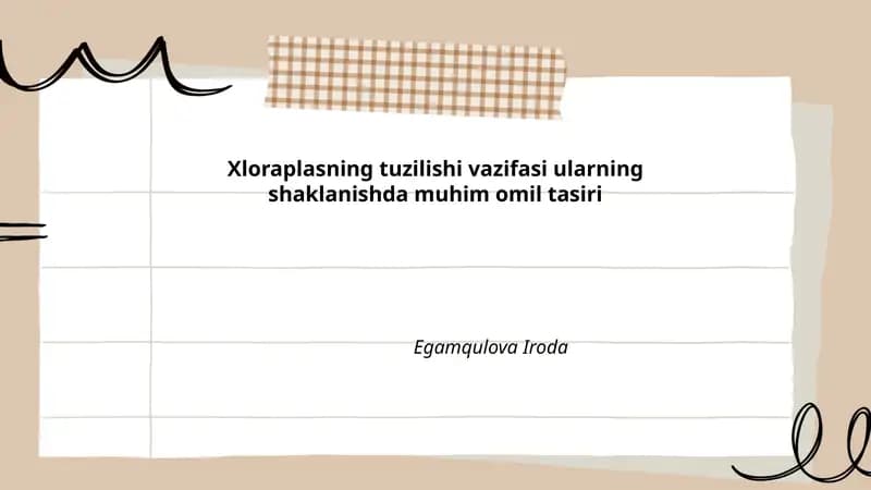 Xloraplastning tuzilishi
