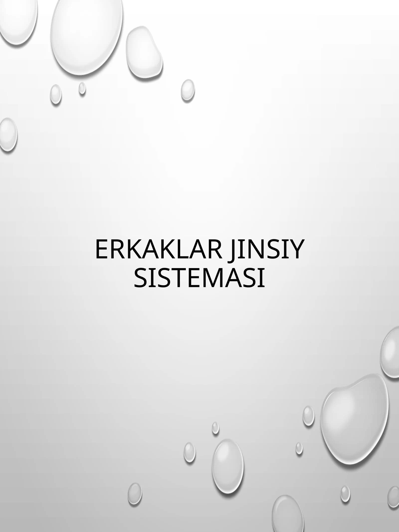 ERKAKLAR JINSIY SISTEMASI
