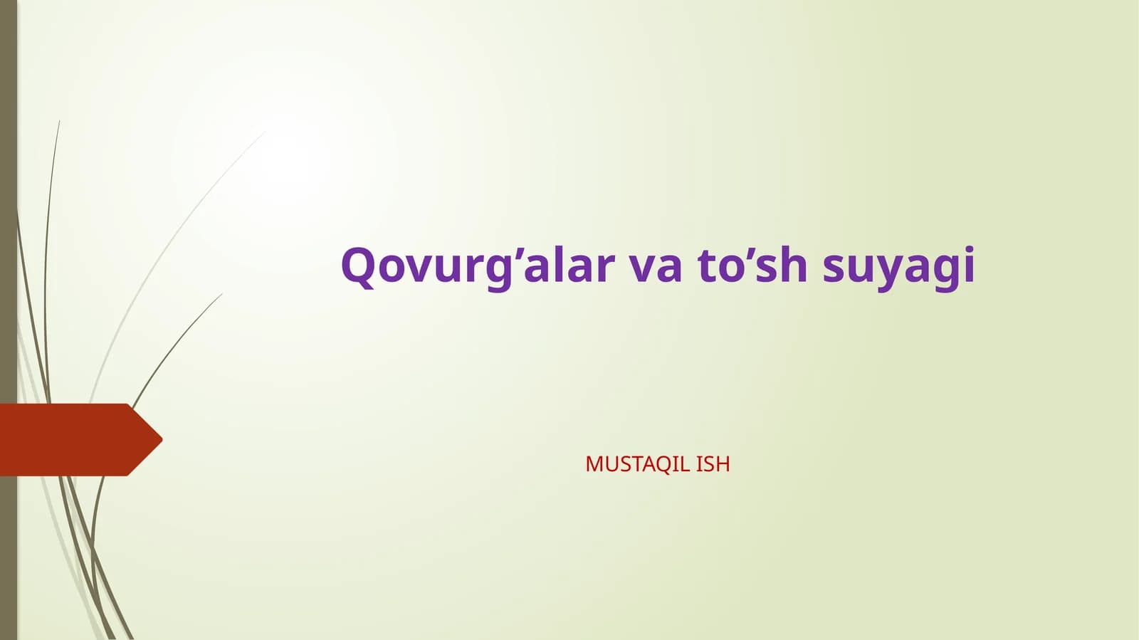 Qovurg’alar va to’sh suyagi