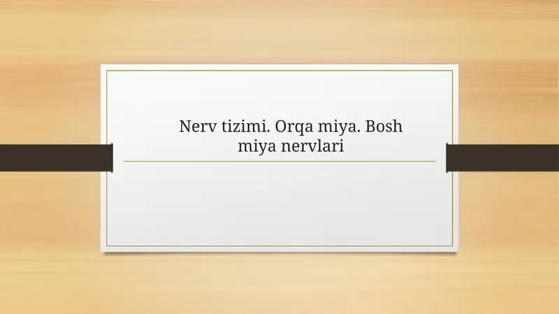 Nerv Tizimi: Orqa Miyan