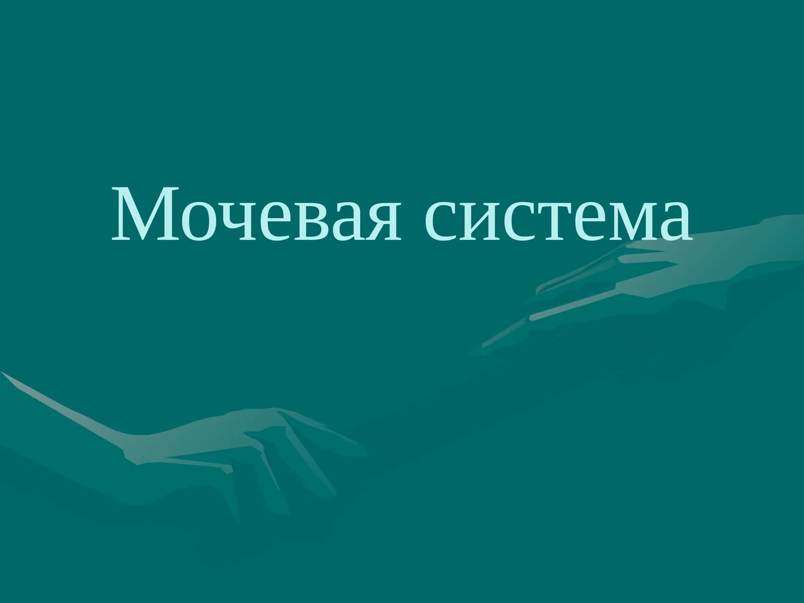 Мочевая система