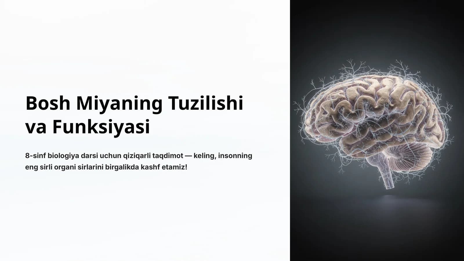 Bosh Miyaning Tuzilishi va Funksiyasi