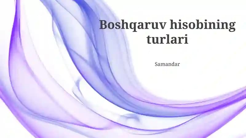 Boshqaruv hisobining turlari