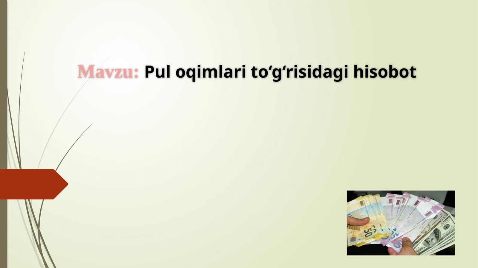 Puloqimlar to‘g‘risidagi hisobot
