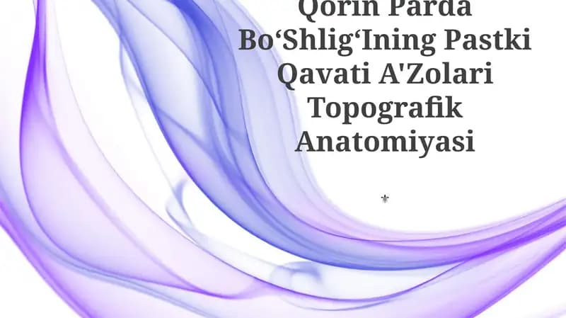 Qorin Parda BoʻShligʻIning Pastki Qavati A'Zolari Topografik Anatomiyasi
