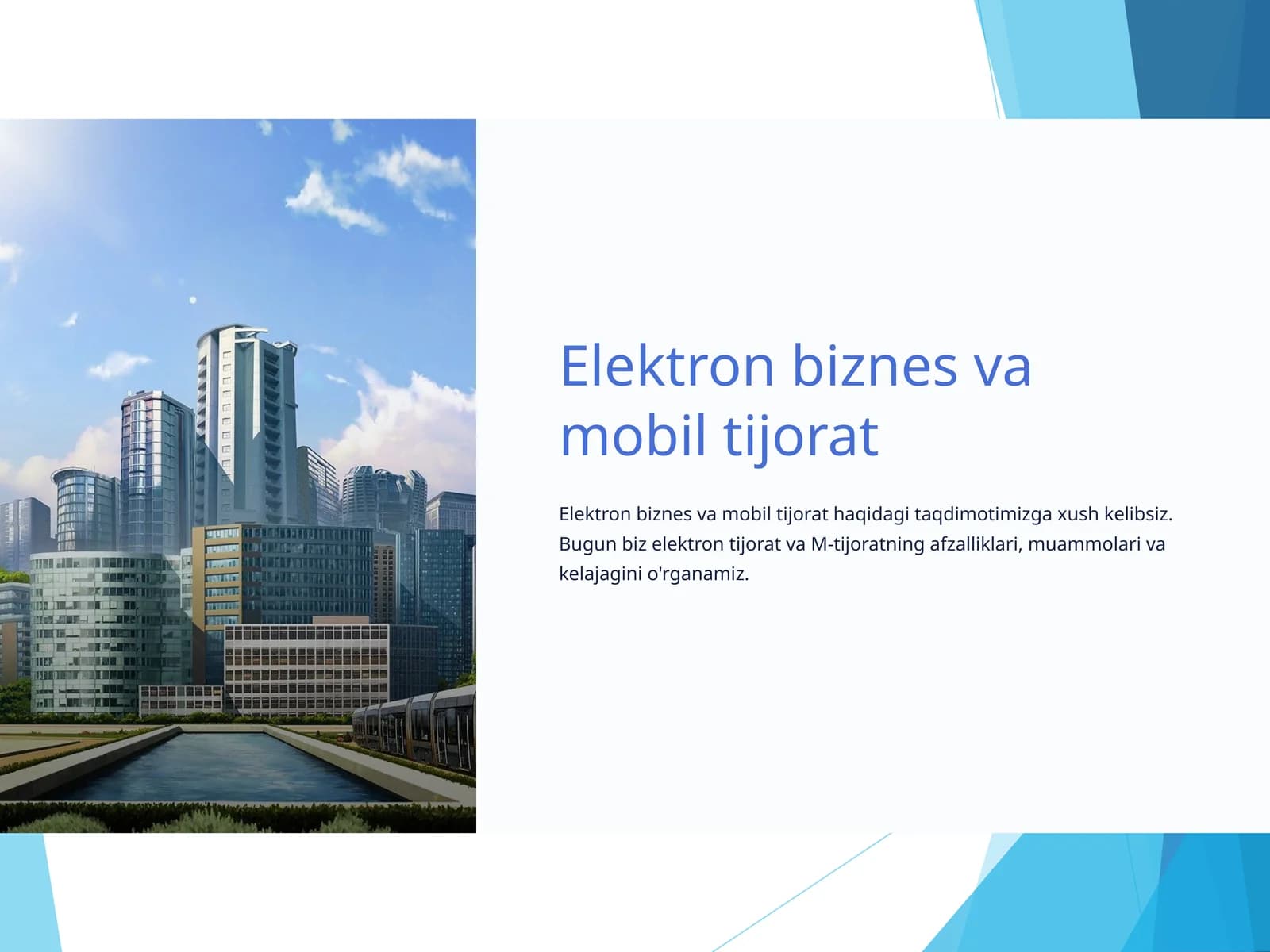 Elektron biznes va mobil tijorat