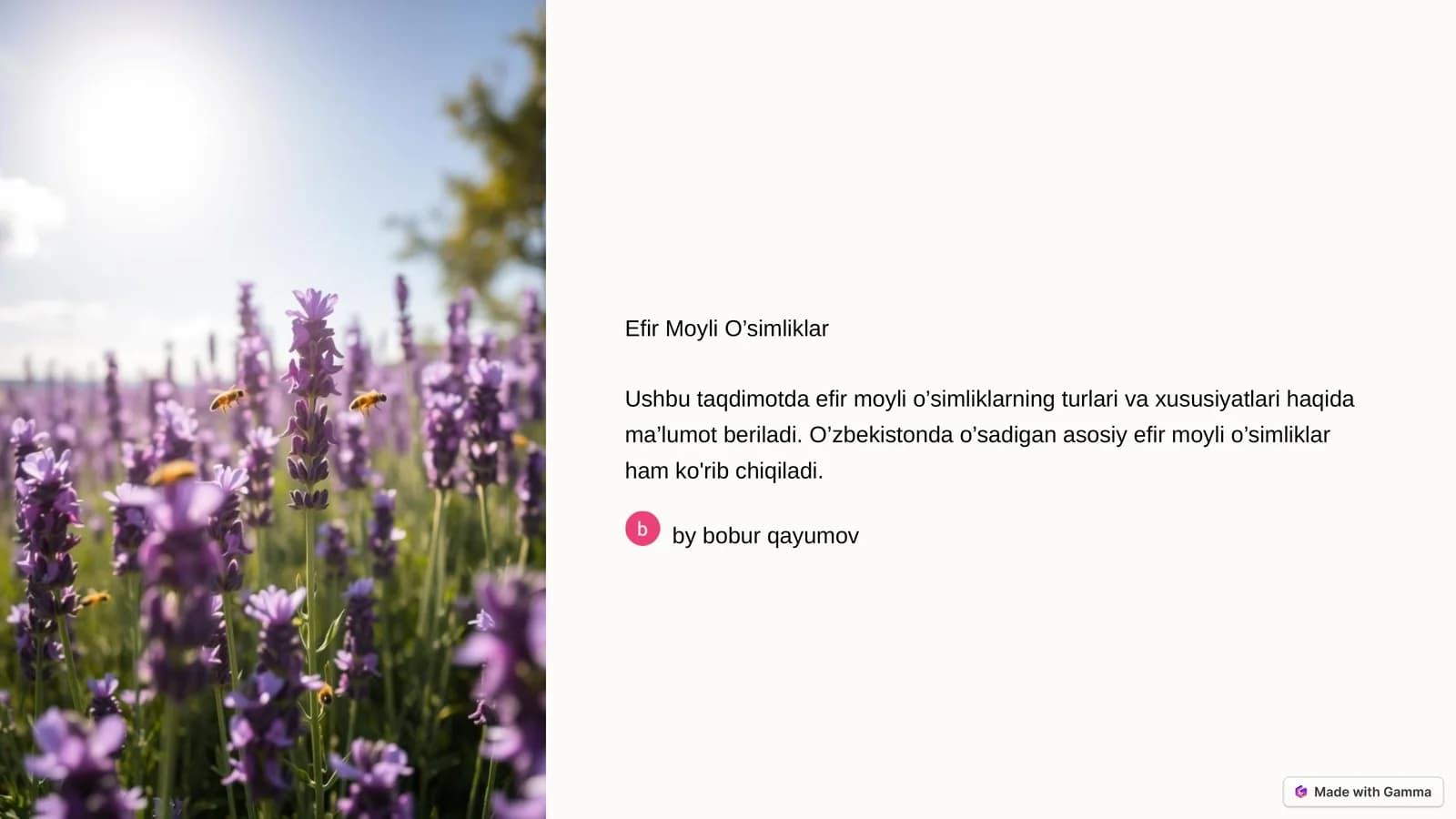 Efir Moyli O’simliklar