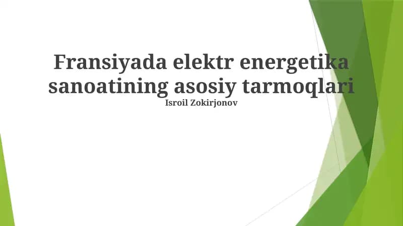 Fransiyada elektr energetika sanoatining asosiy tarmoqlari