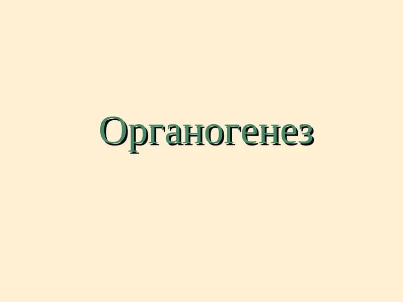 Органогенез