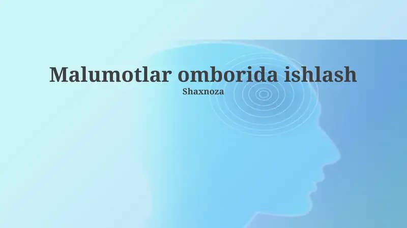 Ma'lumotlar omborida ishlash