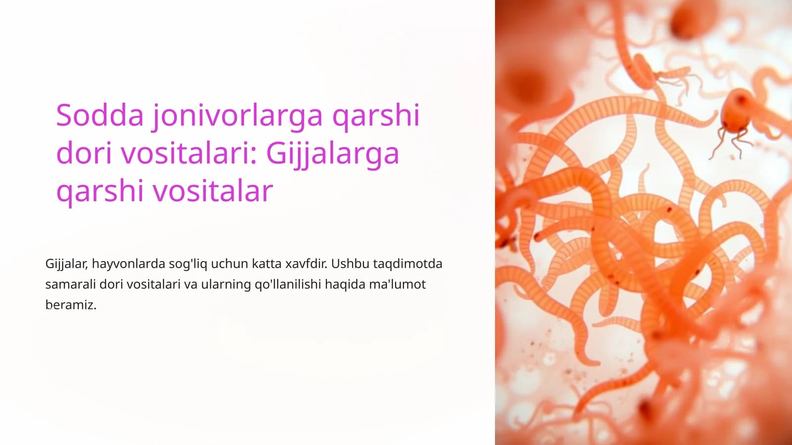 Gijjalarga qarshi vositalar