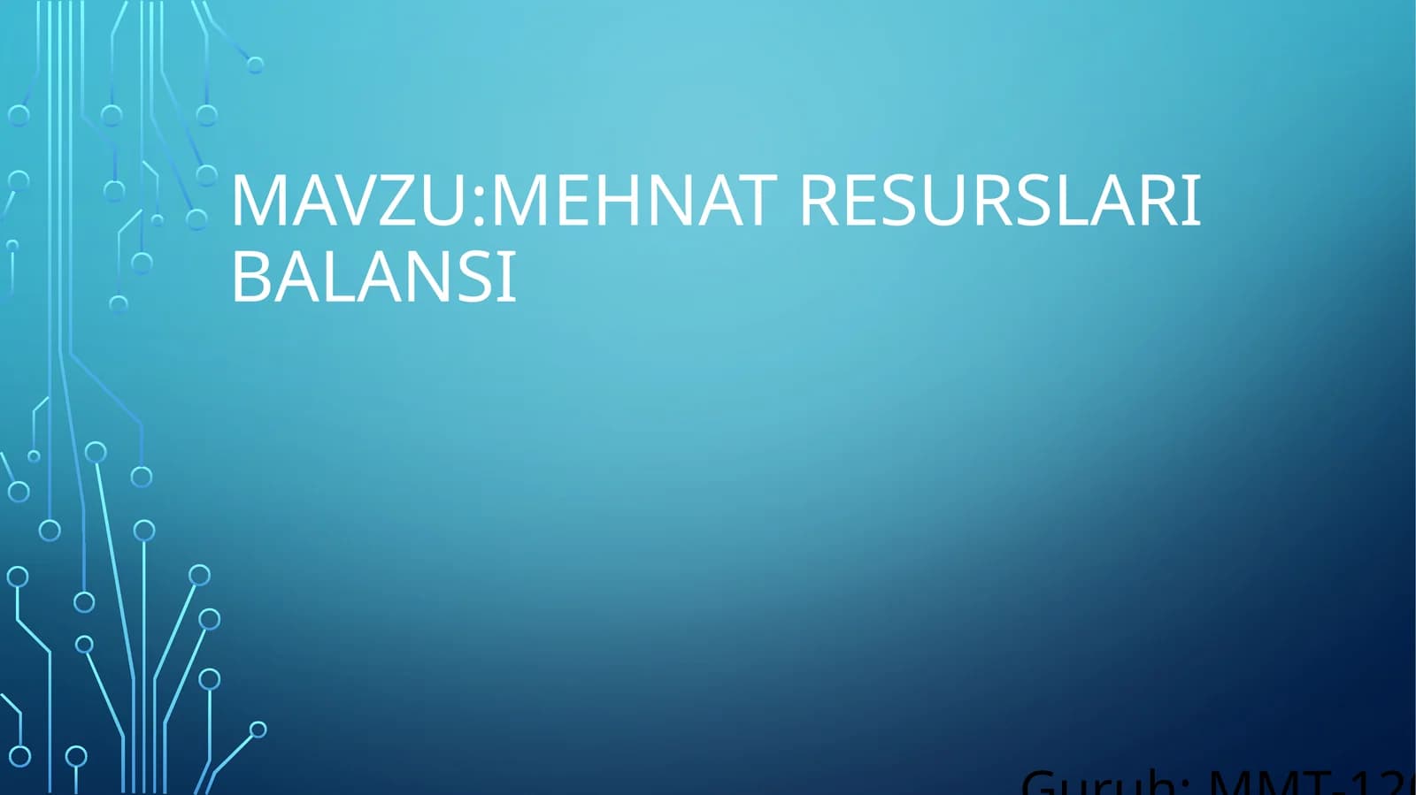Mehnat resurslari balansi