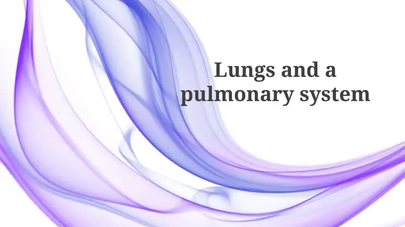 Anatomy of the Lungs
