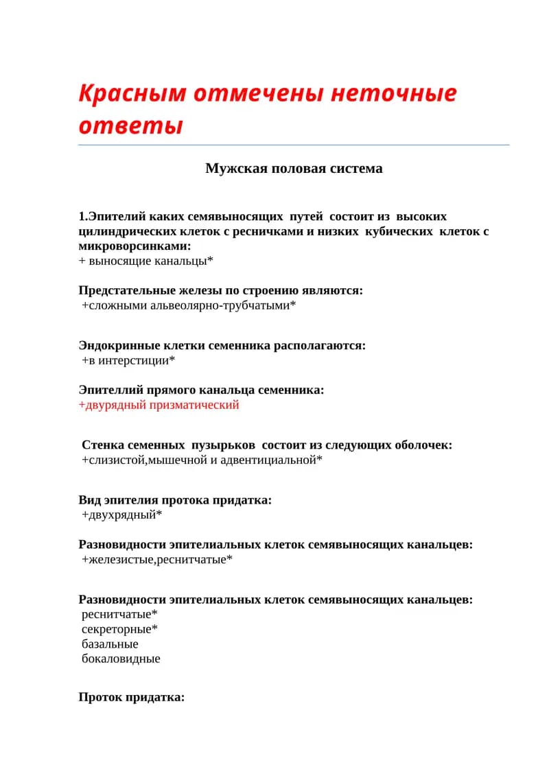 Мужская половая система