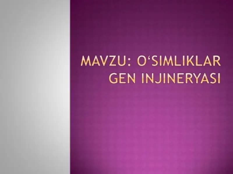 O‘simlik hujayrasi
