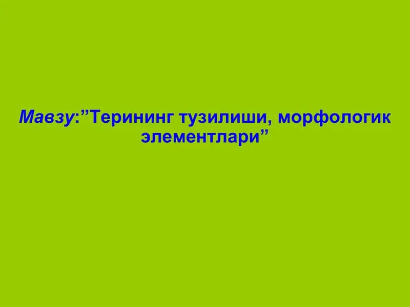 Терининг замбуруғкасалликлари-микозлар