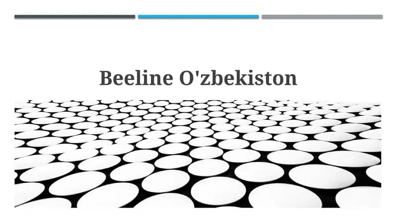 Beeline Uzbekistan