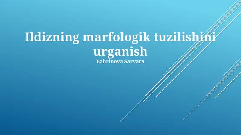 Ildizning marfologik tuzilishini urganish