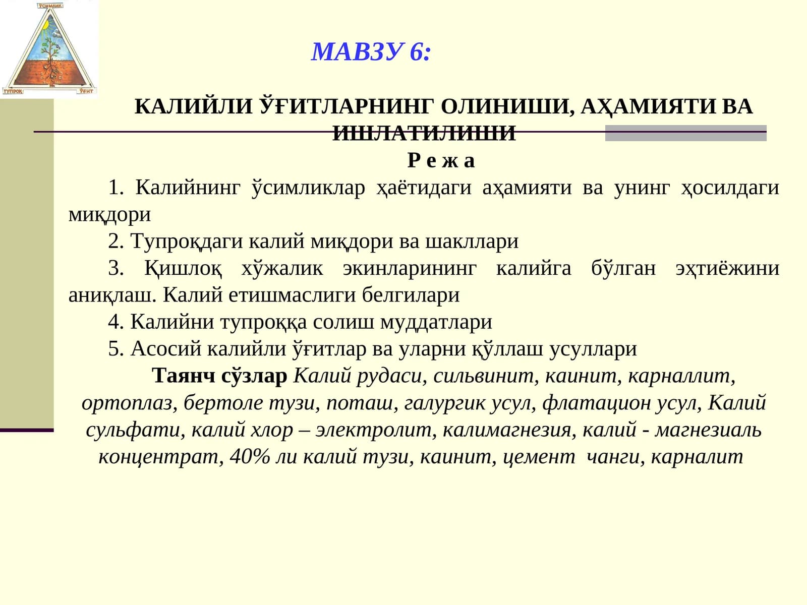 КАЛИЙЛИ ЎҒИТЛАРНИНГ ОЛИНИШИ, АҲАМИЯТИ ВА ИШЛАТИЛИШИ