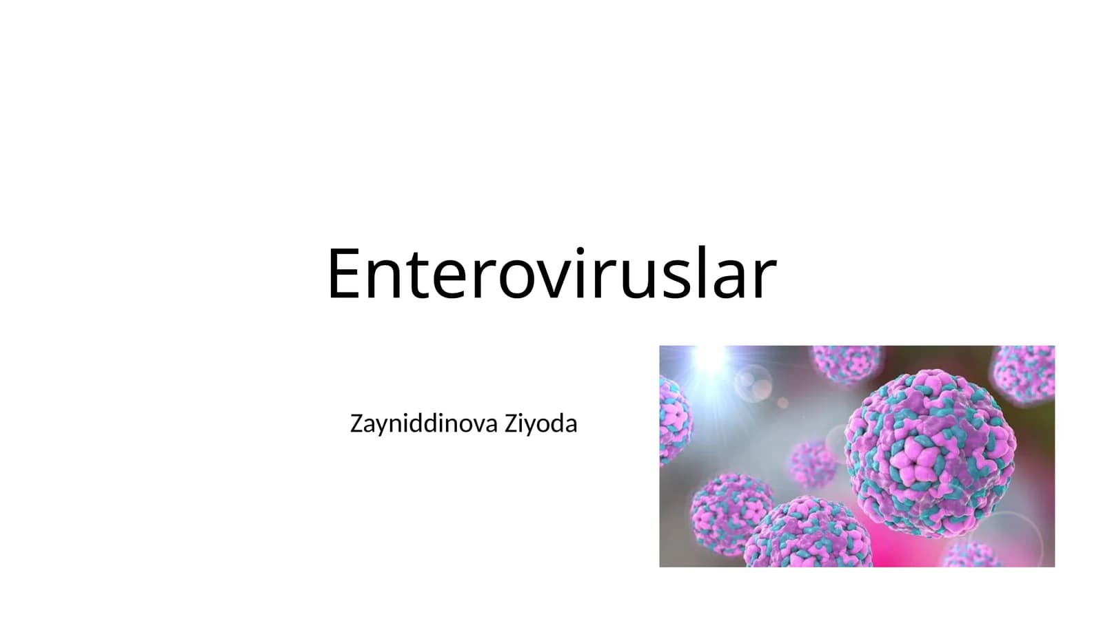 Enteroviruslar