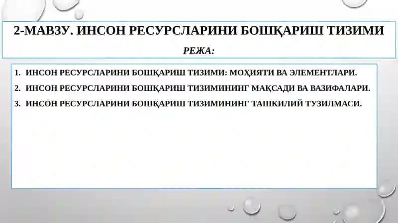 Инсон ресурсларини бошқариш тизими