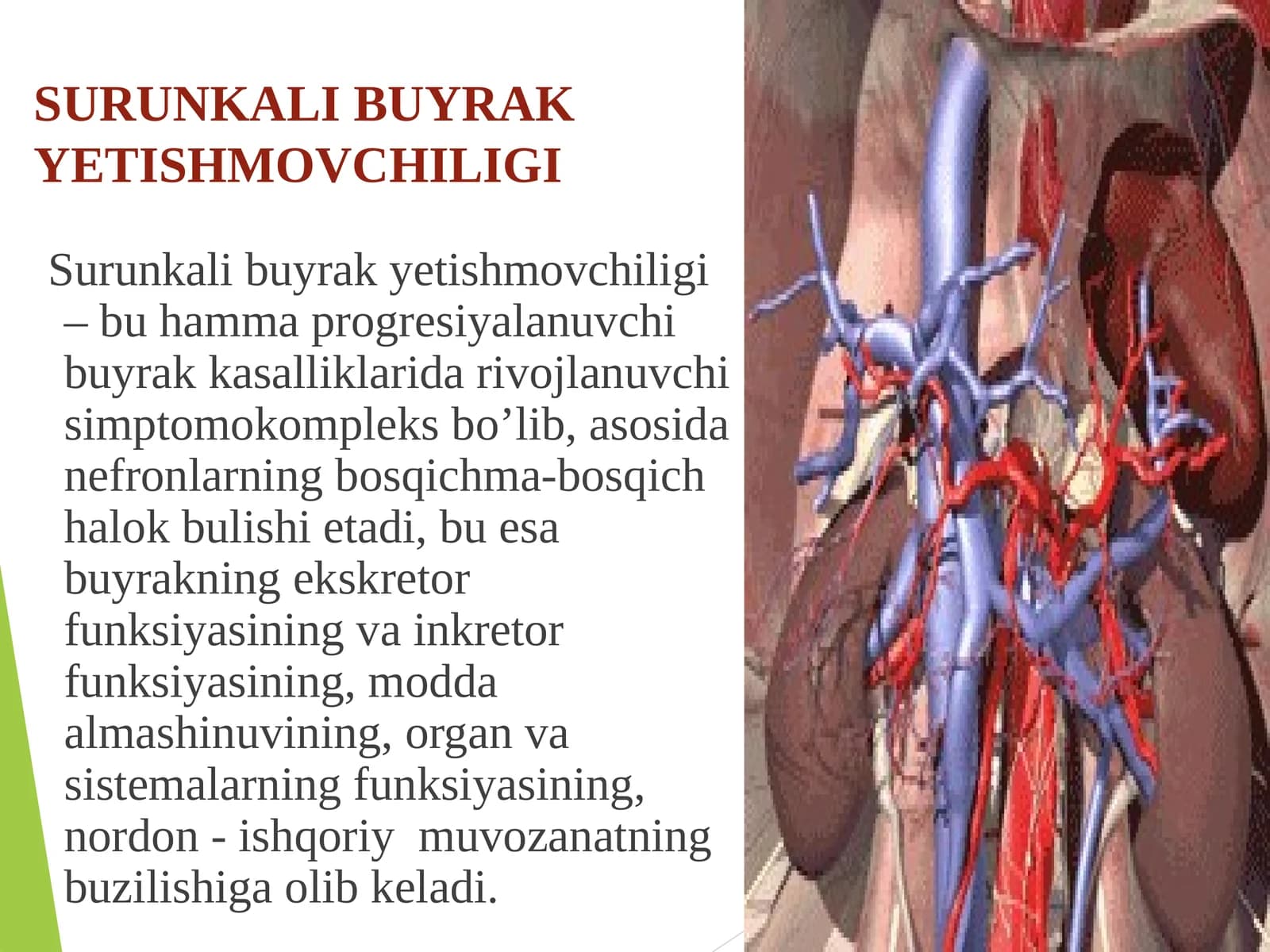 SURUNKALI BUYRAKYETISHMOVCHILIGI