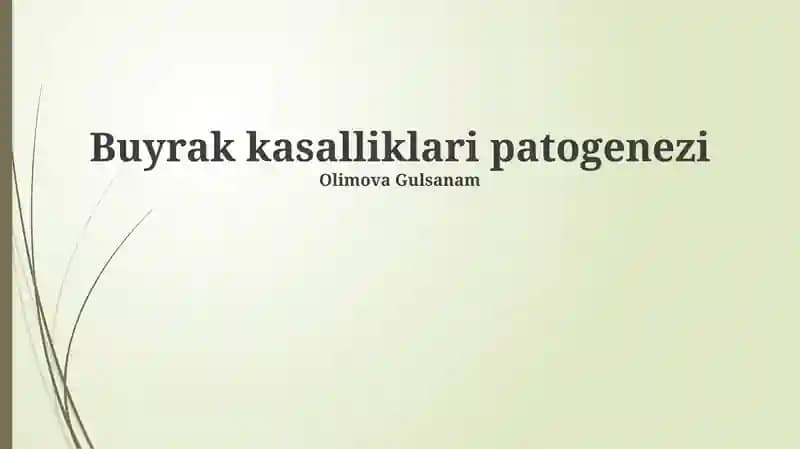 Buyrak kasalliklari patogenezi