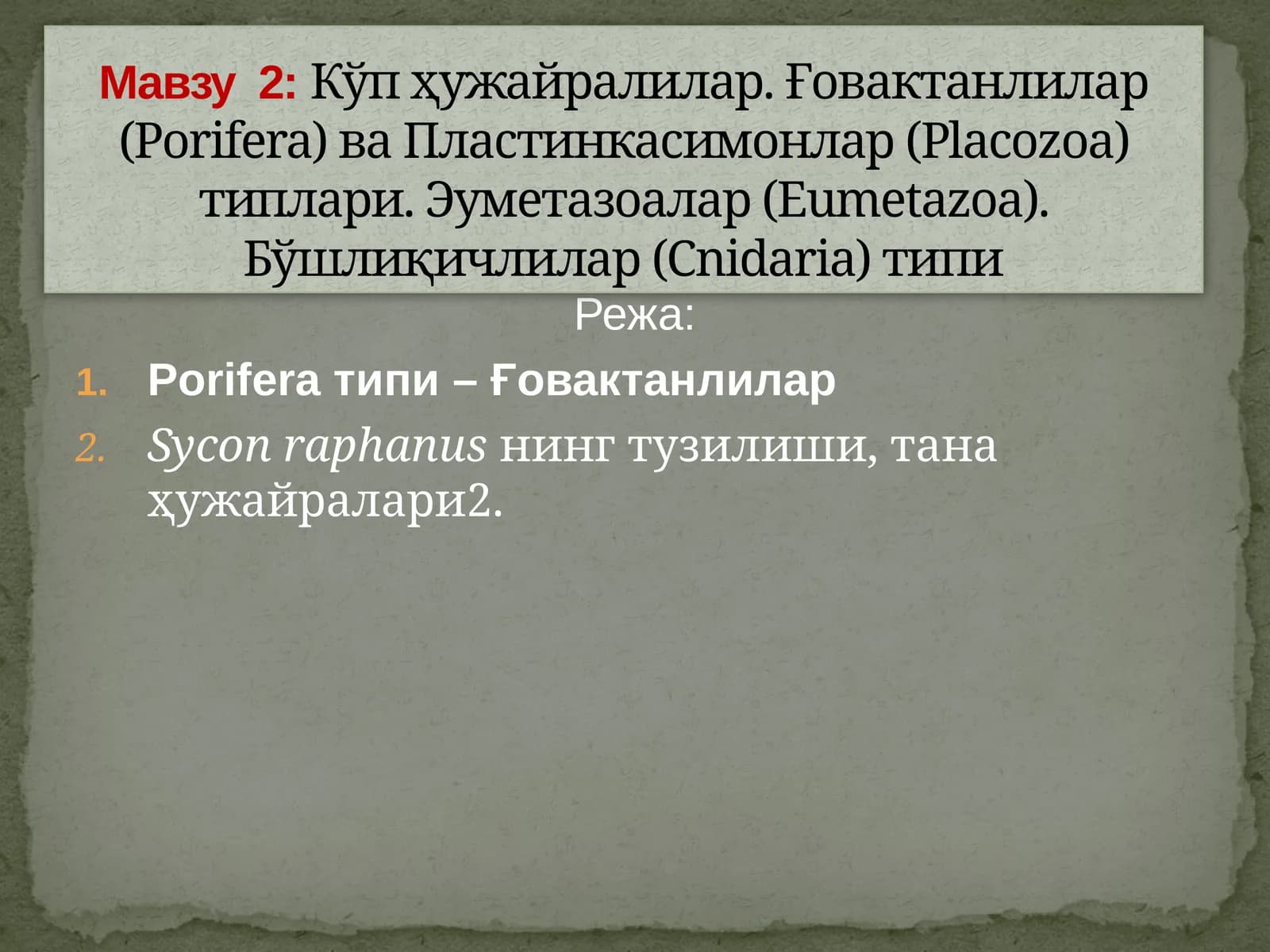 Porifera(Spongia) –Ғовактанлилар типи