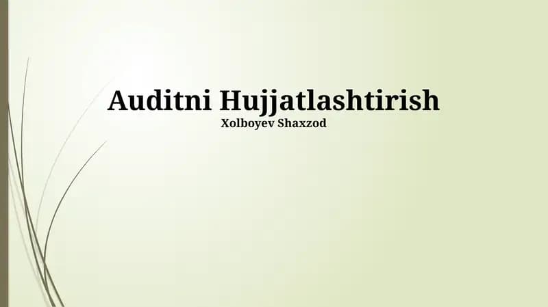 Auditni Hujjatlashtirish