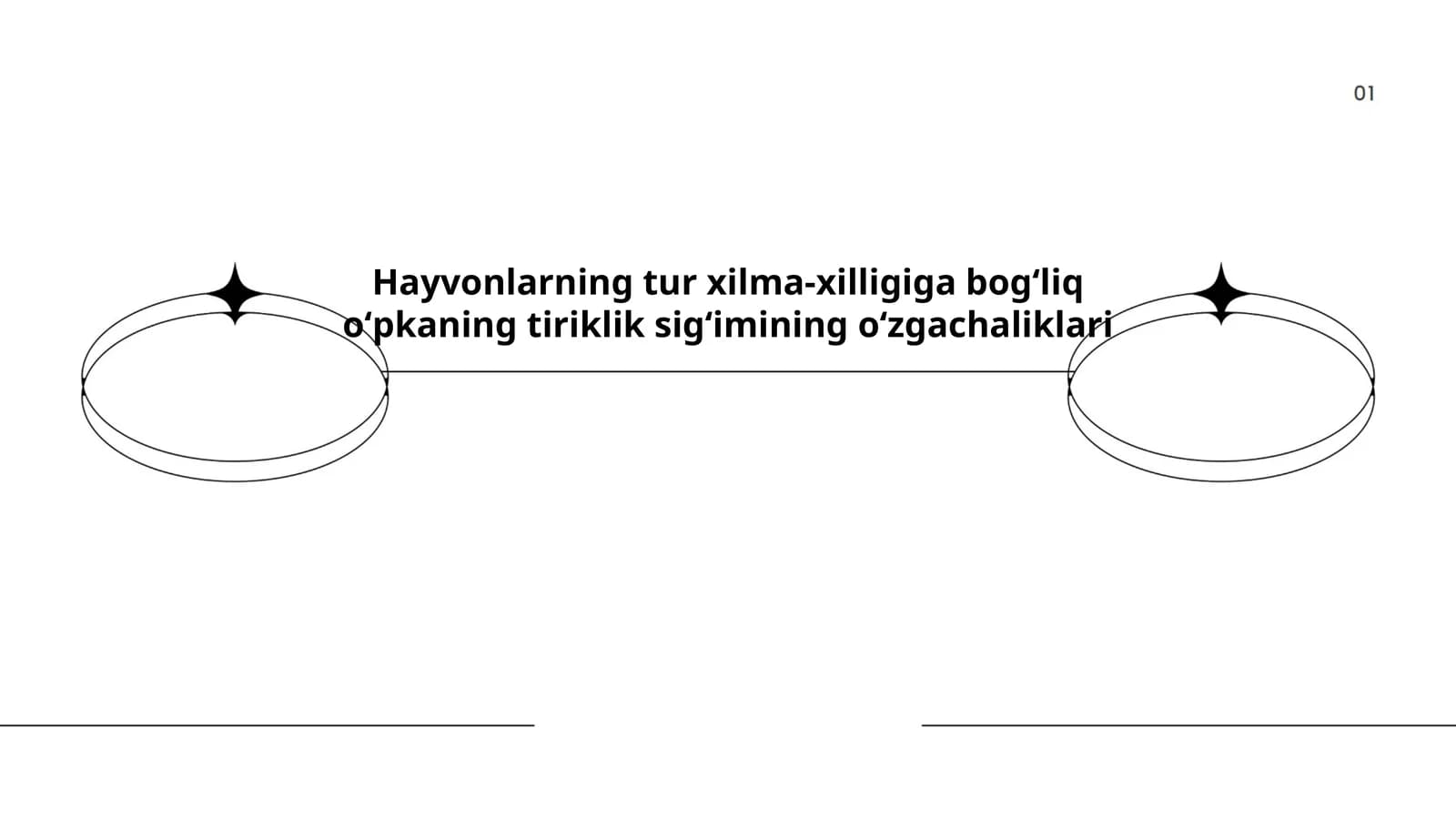 Hayvonlarning o'pka tuzilishi