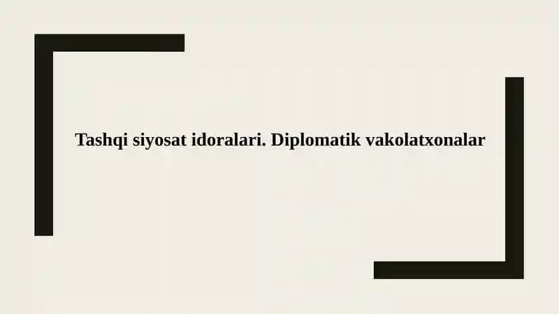 Tashqi siyosat idoralari. Diplomatik vakolatxonalar