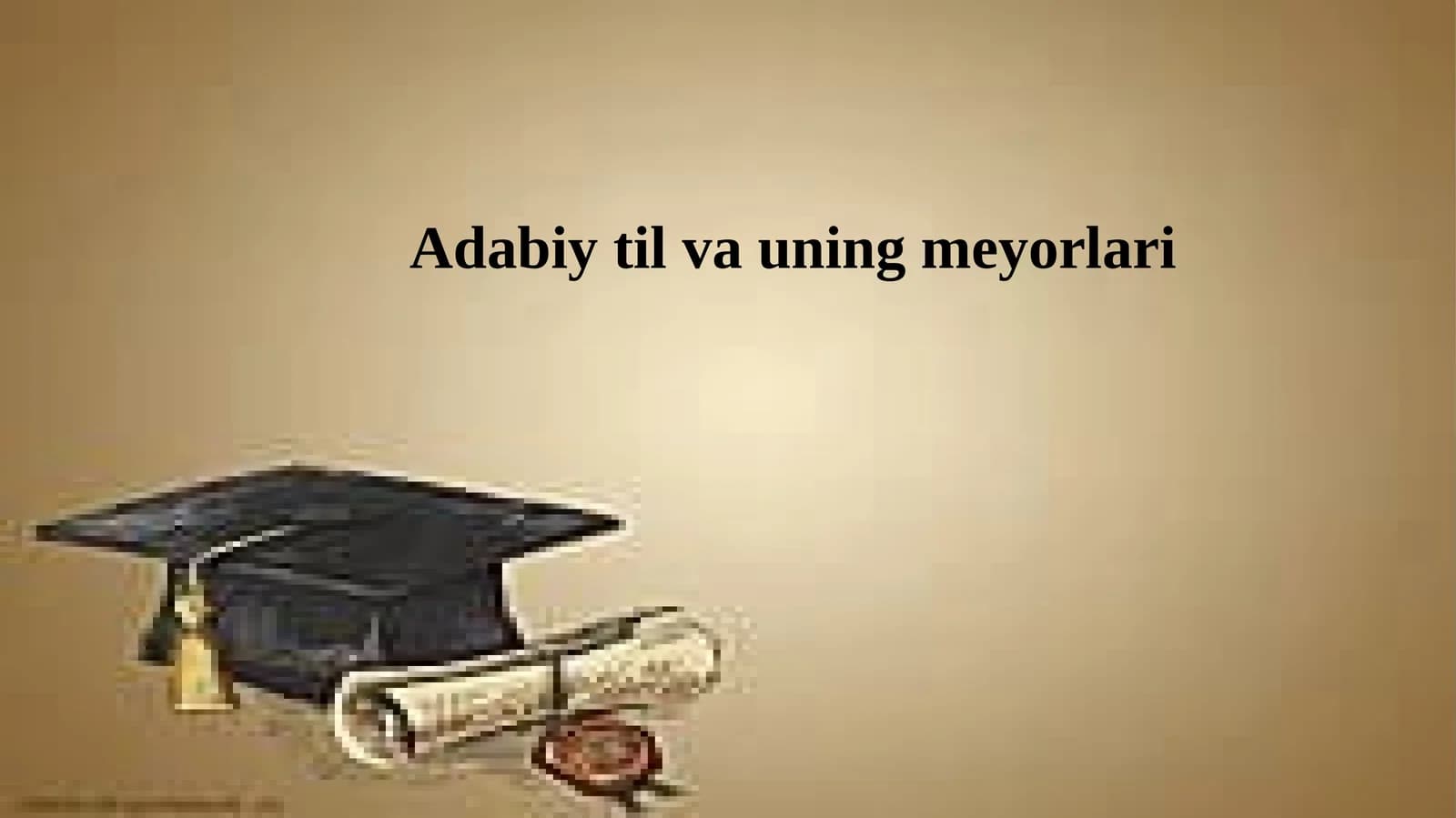 Adabiy til va uning meyorlari
