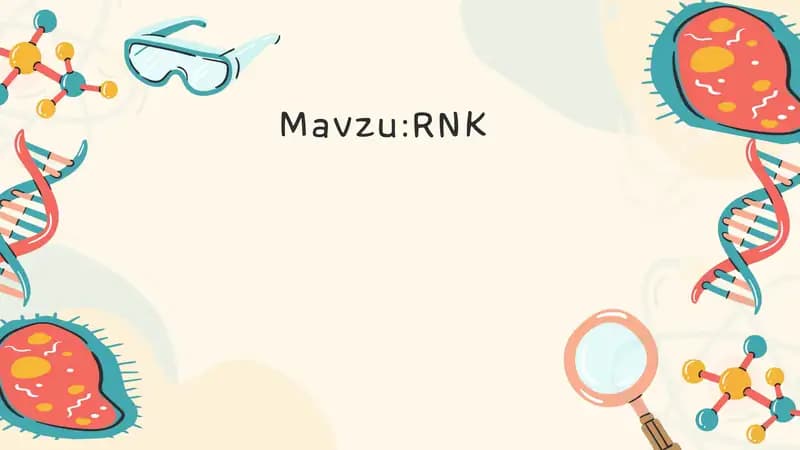 RNK
