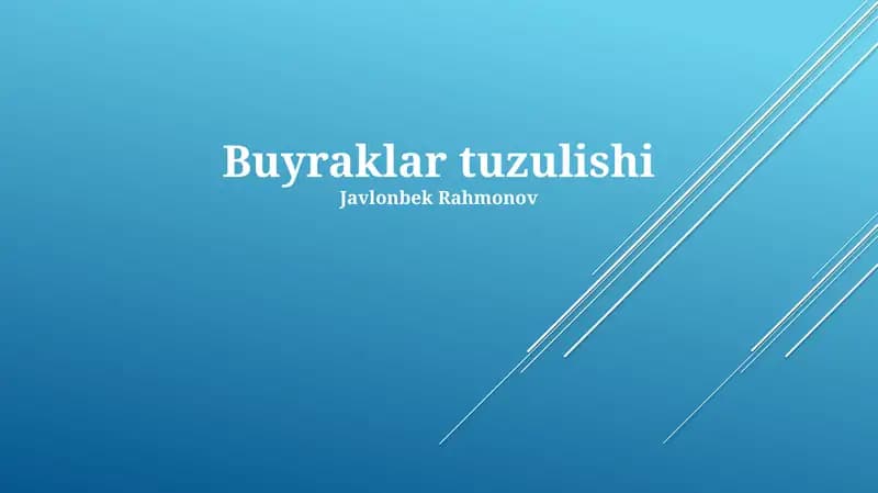 Buyraklar tuzulishi