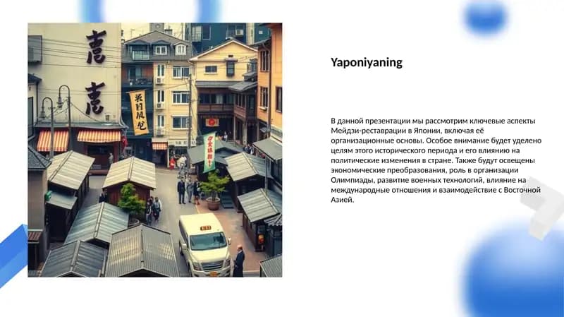 Meydzi inqilobi tashkiliyoti
