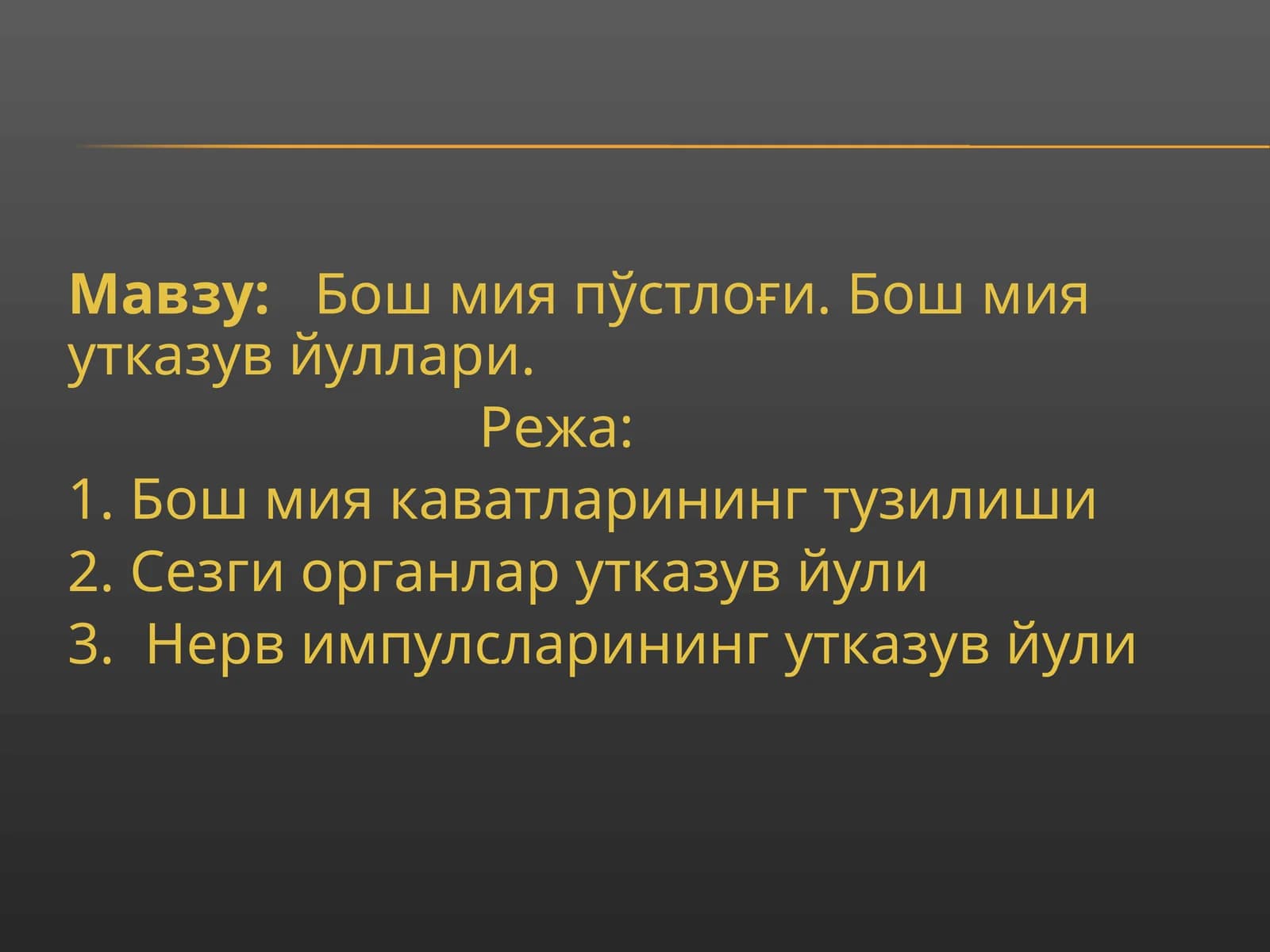 Бош мия пўстлоғи